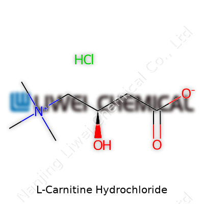 L-Carnitine Hydrochloride